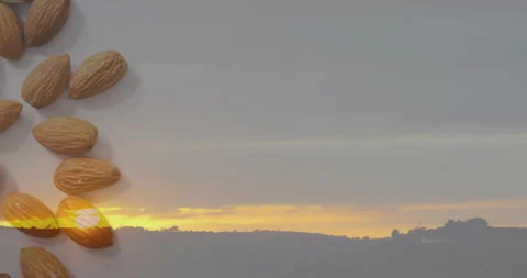 Scenic sunset landscape with cloudy sky overlaid with almonds animation Video stock 305834267
