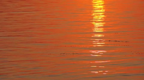 Scenic sunset over calm river Stock Footage 52372329