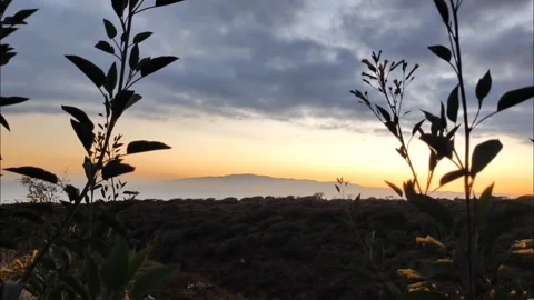 Scenic Sunset Over the Ocean with La Gomera Island Silhouette Video stock 334227168