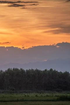 Scenic Sunset Over Tree-Lined Horizon with Distant Mountain Silhouettes Stock Photos