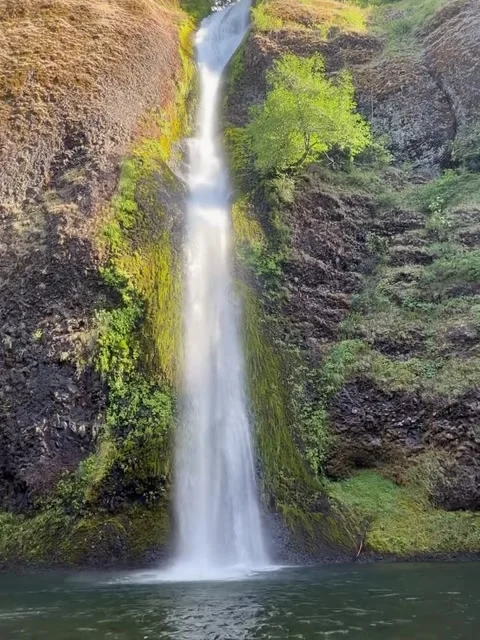 Scenic Tall Waterfall Flowing into Pool Stock Footage 340564424