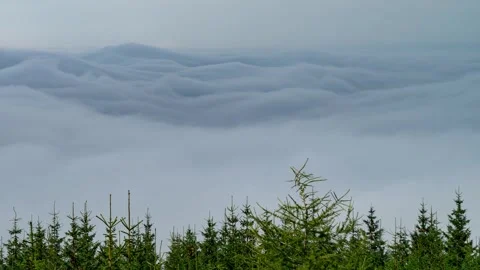 Scenic Tatra Range Daytime Time-Lapse: Foggy Forest Views Stock Footage 308193696