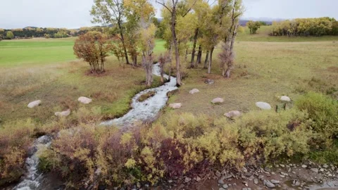 Scenic Tilt Down Stream Vidéo 255871116