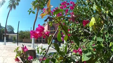 Scenic town 01 Stock Footage 22110932