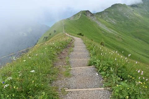 Scenic trail Stock Photos