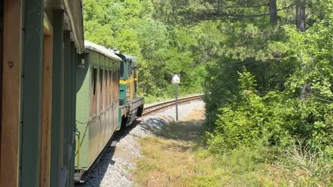 Scenic Train Journey Stock Footage 313364103