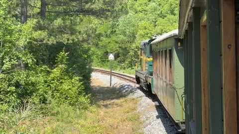 Scenic Train Journey 스톡 동영상 313364147
