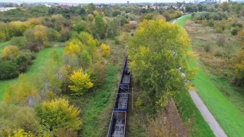 Scenic train ride through vibrant autumn landscape, showcasing lush trees and 스톡 동영상 330434930