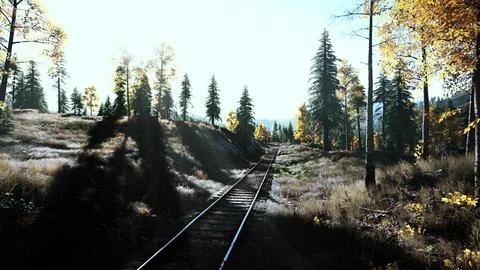 A scenic train track running through a vibrant forest at sunset Stock Illustration