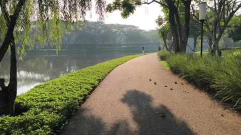 Scenic Tree Lined Lakeside Park Path Under Morning Sunlight Vídeos de archivo 339705563