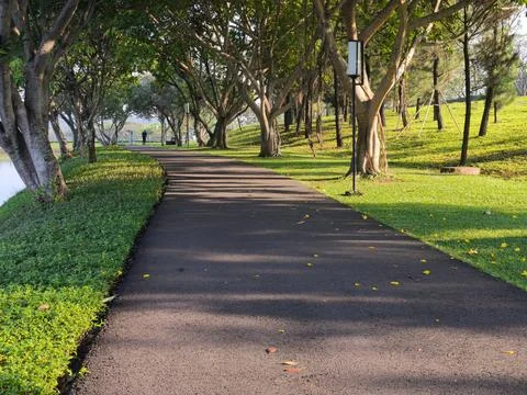 Scenic Tree Lined Lakeside Park Path Under Morning Sunlight Stock Photos