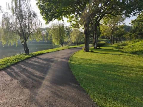 Scenic Tree Lined Lakeside Park Path Under Morning Sunlight Stock Photos