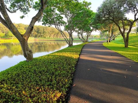 Scenic Tree Lined Lakeside Park Path Under Morning Sunlight Stock Photos