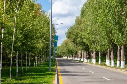 Scenic tree lined road with flags of Kazakhstan fluttering in the breeze Stock Photos
