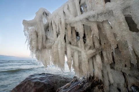 Scenic tree root in ice and icicles on the seashore. Stock Photos