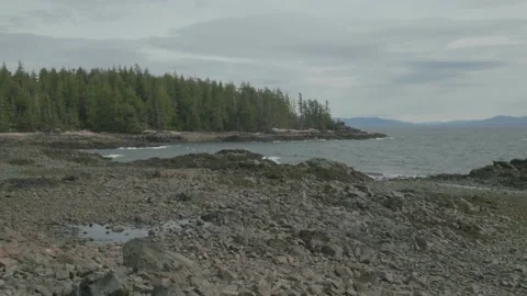 Scenic Trees and Coast in Prince of Wales Island Alaska Stock Footage 195020163