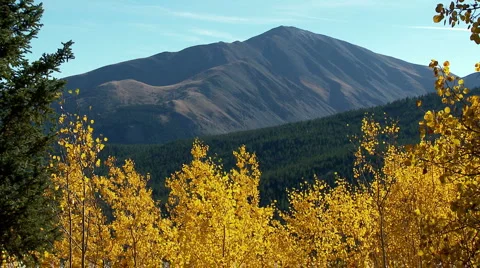 Scenic trees mountains fall colors Colorado Stock Footage 2223165