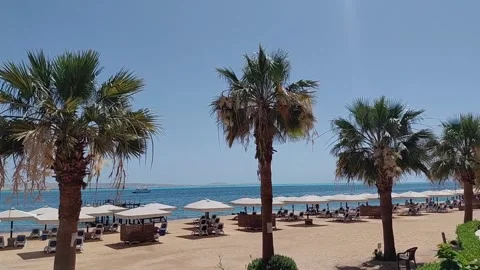 A scenic tropical beach Stock Footage 336208628