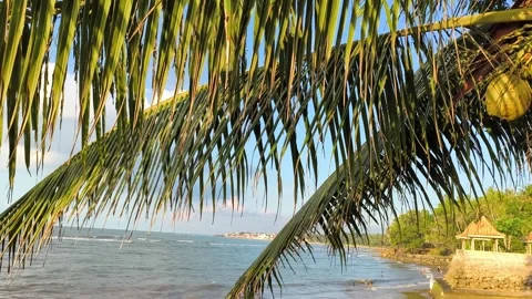 Scenic Tropical Beach View Through Coconut Palm Tree Fronds at Sunset Stock Footage 340216397