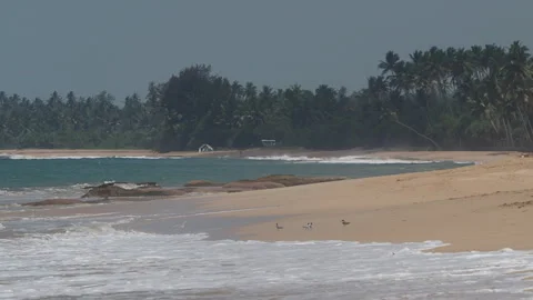 Scenic tropical beach with waves and seabirds Stock-Footage 340642643