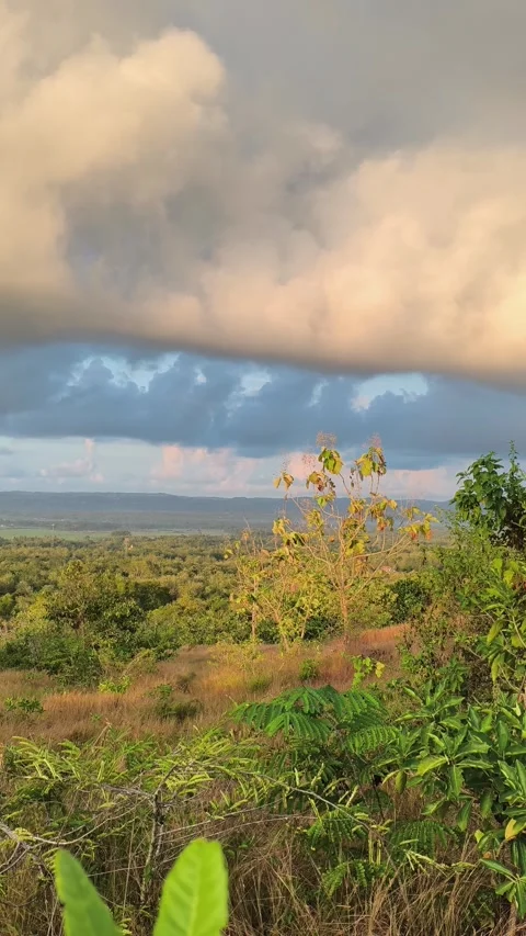 Scenic Tropical Landscape with Dramatic Storm Clouds at Sunset Stock Footage 340465734