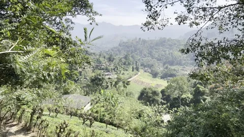 Scenic Tropical Valley With Hills and Road in Sri Lanka Video stock 331663105