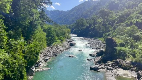 Scenic Turquoise River Flowing Through Dense Mountain Forest Stock Footage 329174825