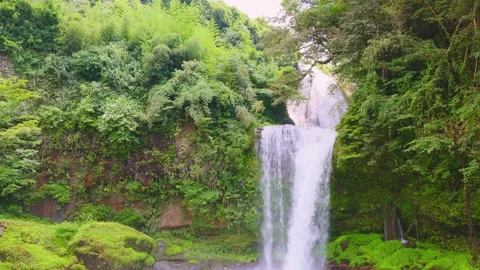 Scenic two-tiered waterfall cascading through vibrant green forest and rocks Stock-Footage 341806307