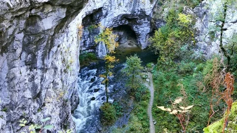 Scenic underground river Rak in karst region in Rakov Skocjan park 스톡 동영상 80971378