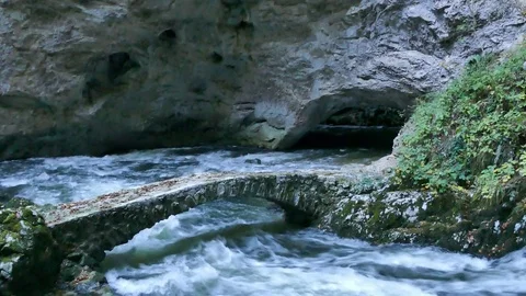 Scenic underground river Rak in karst region in Rakov Skocjan park. Tilt down Stock Footage 80991375