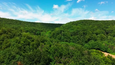 Scenic upwards movement from drone above forest Stock Footage 313895789