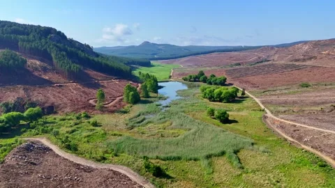 Scenic valley with a lake and pine forests Video stock 296542283