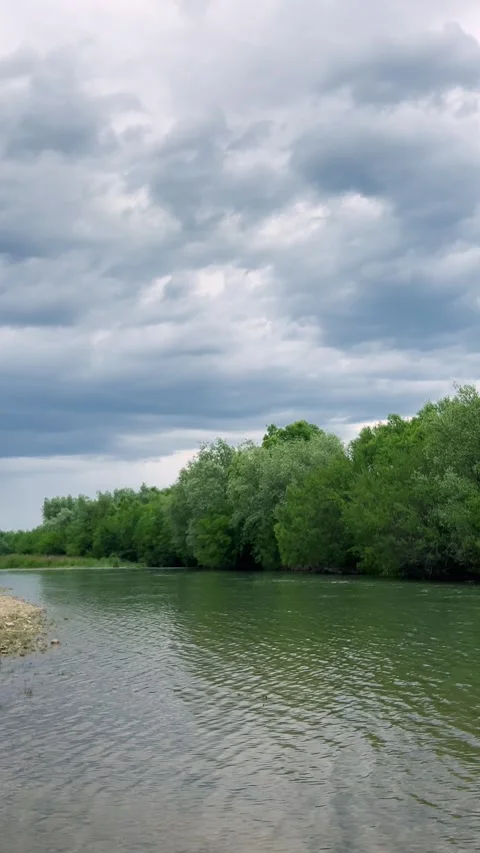 Scenic vertical shot of a calm river flowing past green trees under a cloudy sky Stock Footage 339091598