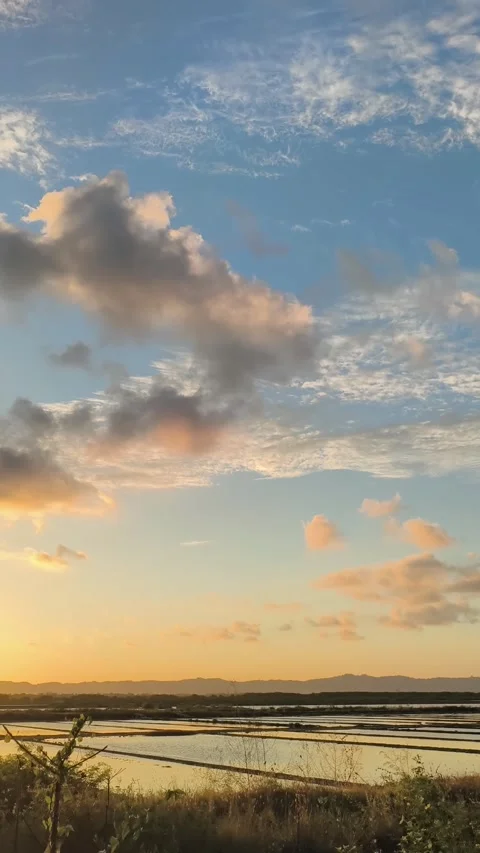 Scenic Vertical Sunset over Rural Rice Paddies and Golden Clouds Stock Footage 340420216