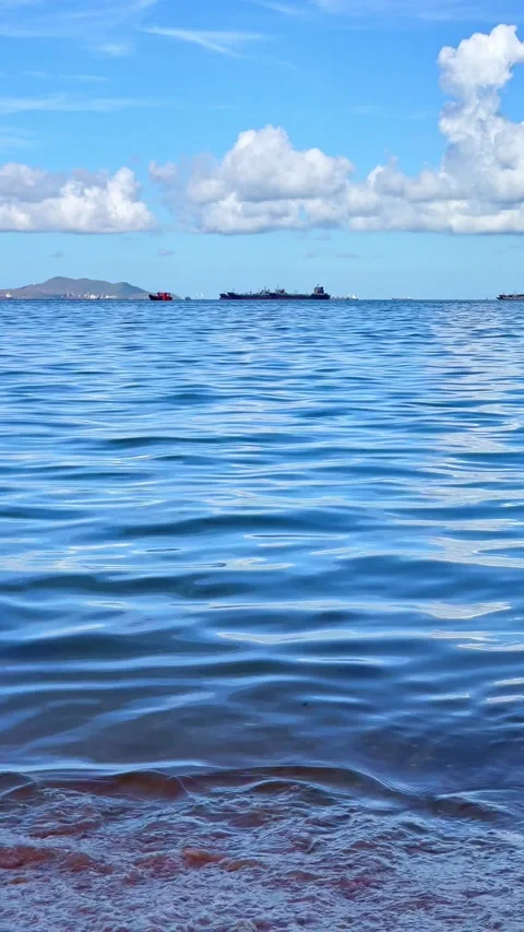 Scenic vertical video featuring turquoise seawater, soft waves, blue sky, Vídeos de archivo 341301017