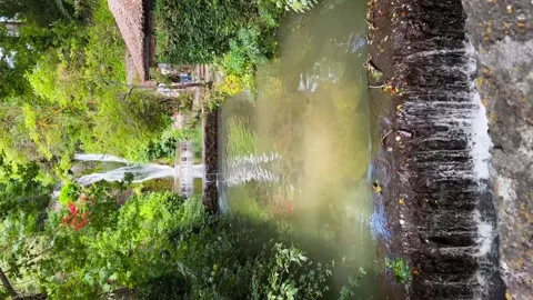 Scenic vertical view of peaceful forest waterfall flowing into calm pond Stock-Footage 319952551