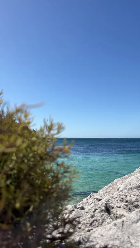 Scenic vertical view of a tranquil seashore Stock Footage 313424425