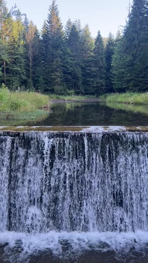 Scenic vertical waterfall on mountain river in green pine forest HD static shot Stock Footage 341851341