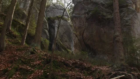 Scenic view of the Adrspach Rocks Stock Footage 310557238
