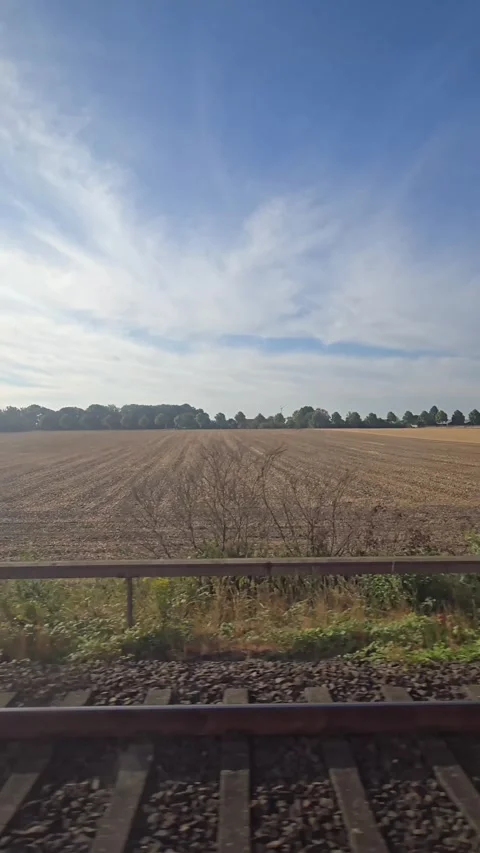 Scenic view of agricultural fields and trees passing by from a moving train.. Stock Footage 341900335