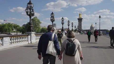 A scenic view of the Alexandre III Bridge in Paris Stock Footage 304944184