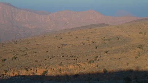 Scenic View of Arid Mountain Landscape with Grazing Animals in Wadi Bani Khalid, Video stock 324848862