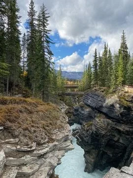 Scenic view of the Athabasca River in Jasper National Park, Canada. Stock Photos