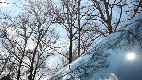 A scenic view of bare winter trees silhouetted against a bright blue sky Stock Footage 327016438