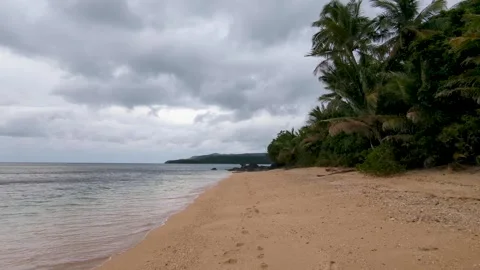 Scenic view beach, ocean, coconut palm trees during strong wind on tropical Stock Footage 345382854