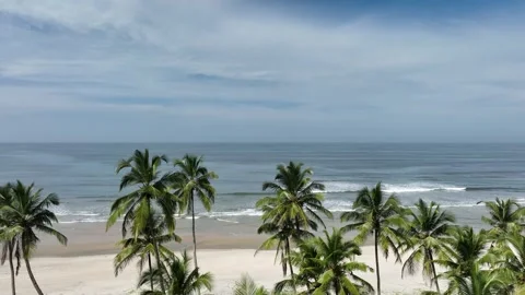 Scenic view of beach with palm trees at coast Stockbeeldmateriaal 296720987
