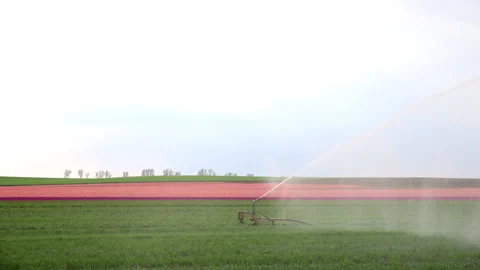 Scenic view of big autonomous smart automatic irrigation system watering green Stock Footage 202134051