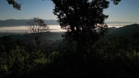 Scenic view of bright sun rays shining through lush tree canopy overlooking.. Vídeo Stock 345131810