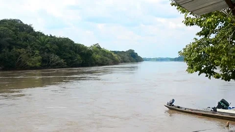 Scenic view of a brown River, green Amazonic Tropical Rainforest and a boat Stock-Footage 135936005