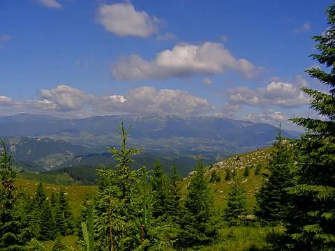 Scenic view of Bucegi mountains range from green hills landscape Stock Photos